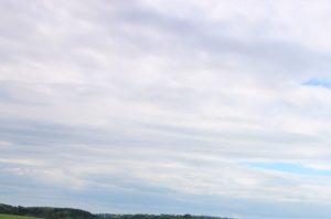 ATV Power Shredder Mower (1.5m, 23hp, DB, Lead start options)