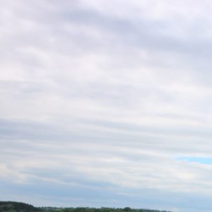 ATV Power Shredder Mower