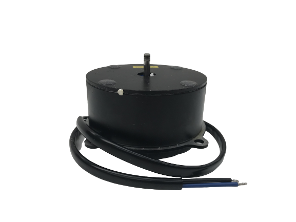 Electrobroadcaster Motor